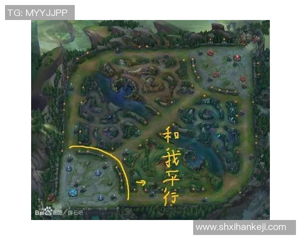 武汉网球队阵地战打法深度解析与战术优势探讨